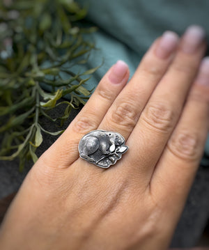 The Beaver Ring