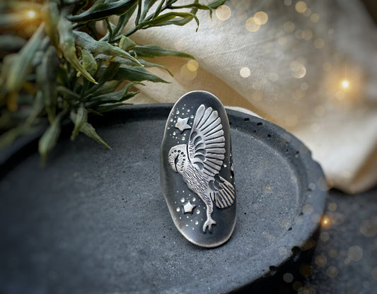 The Barn Owl's Dream Ring