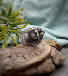 The Beaver Ring
