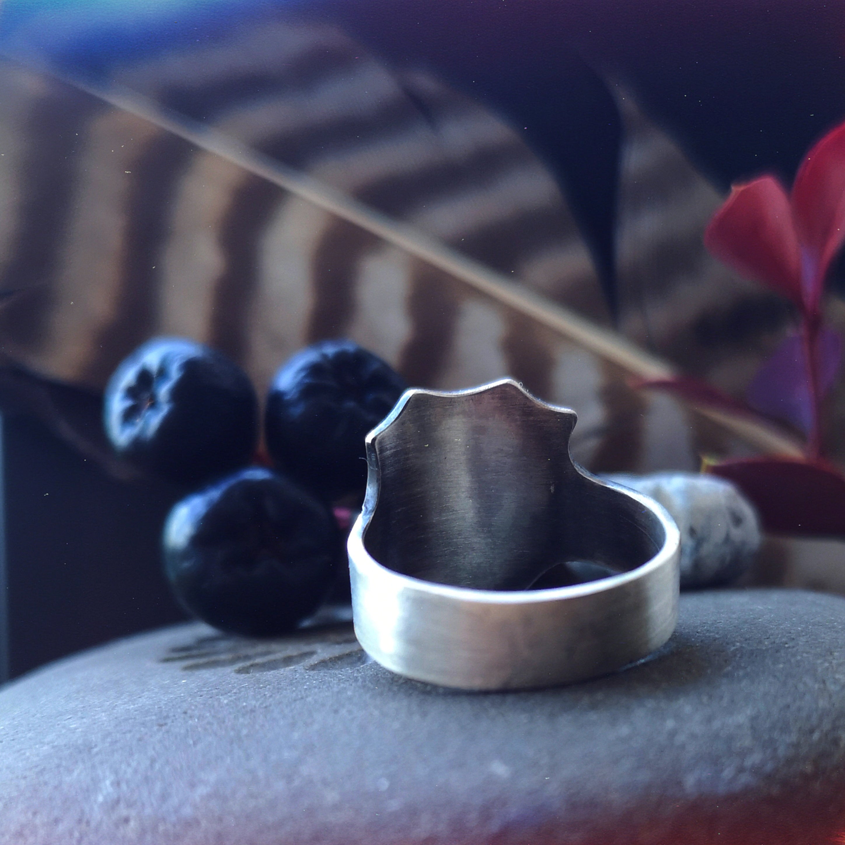The Shield Spell Ring