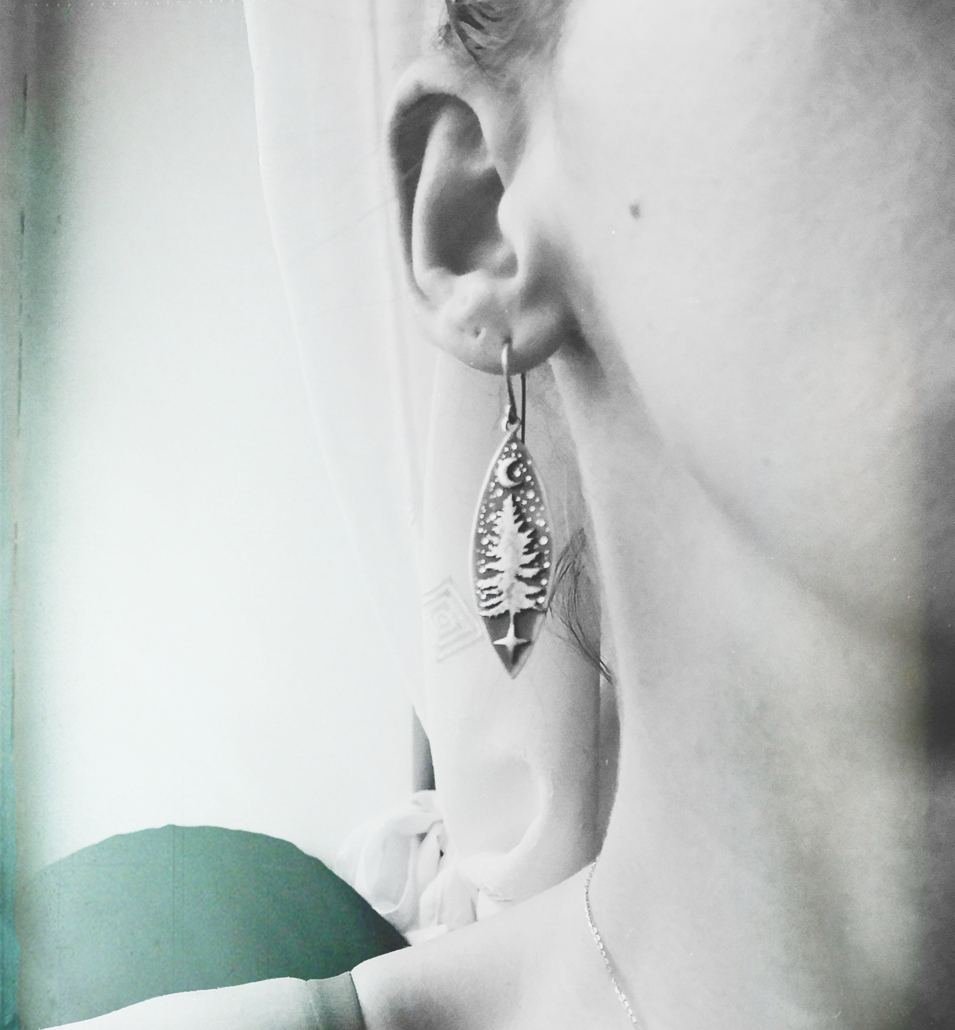 The Winter Wonderland Earrings
