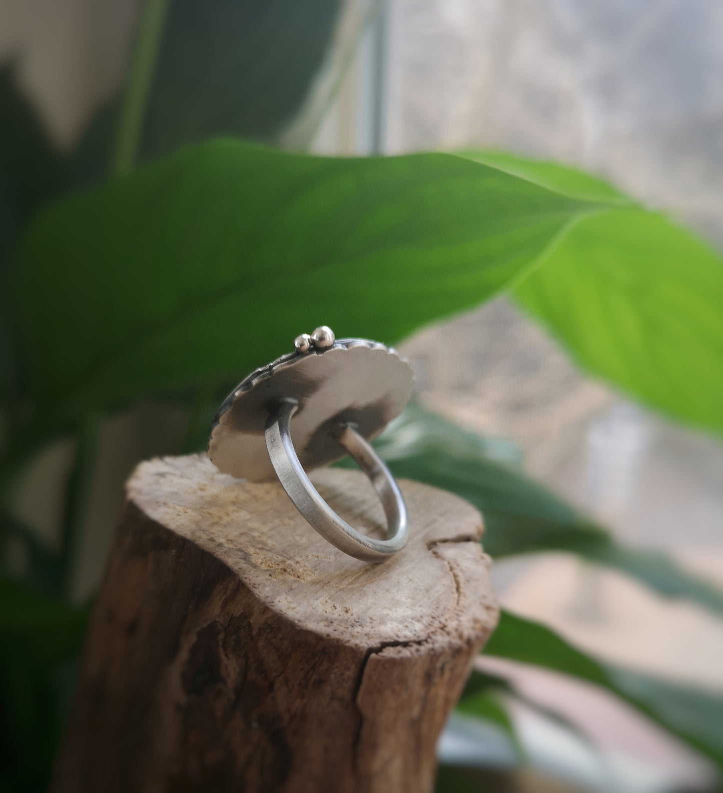 The Fawn Shadowbox Ring