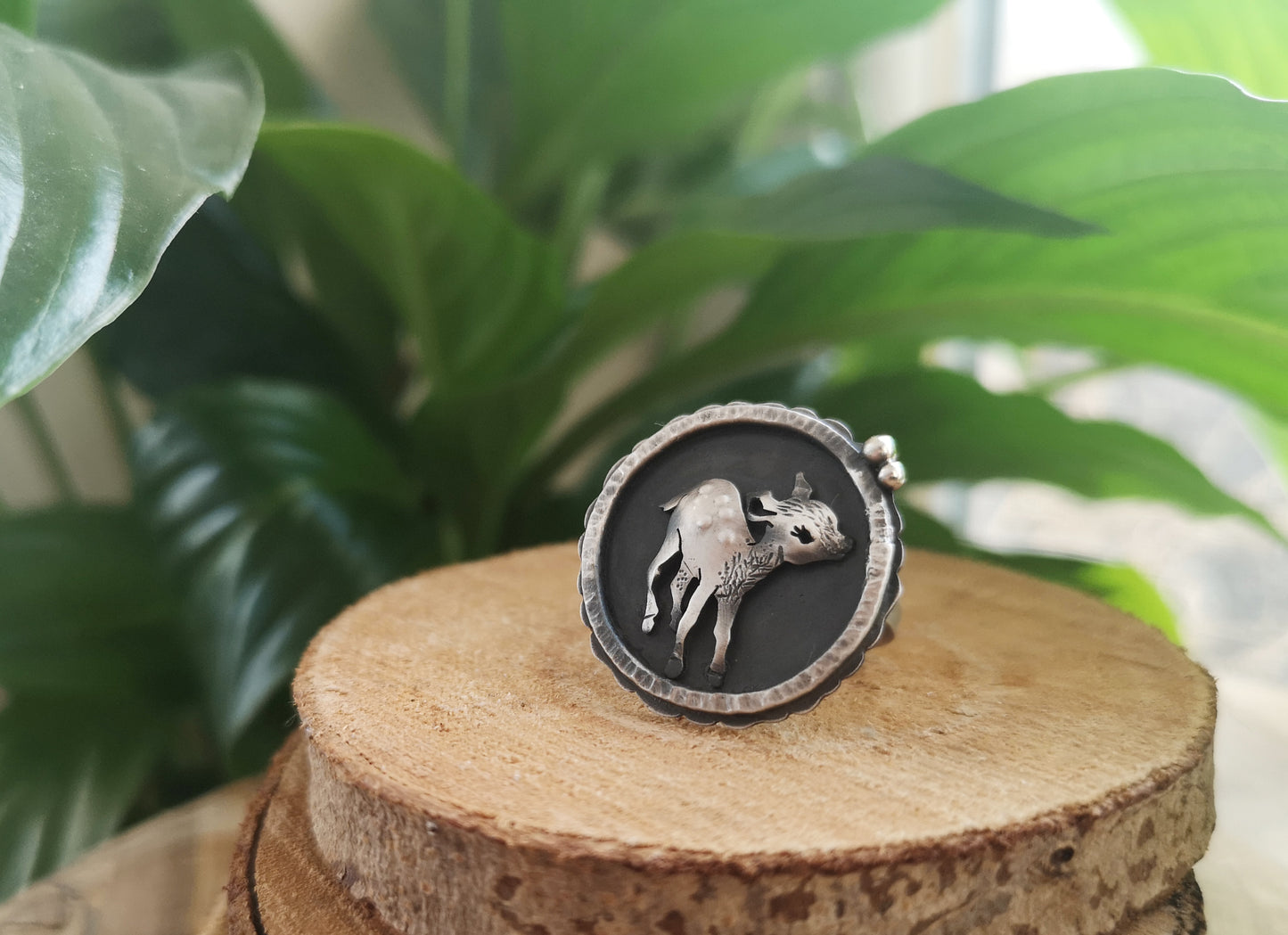 The Fawn Shadowbox Ring