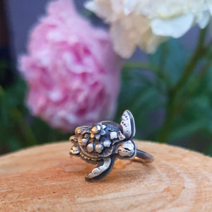 The Turtle Ring