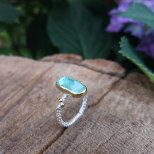 The Wonderland Ring - 22K Gold & Silver Tourmaline