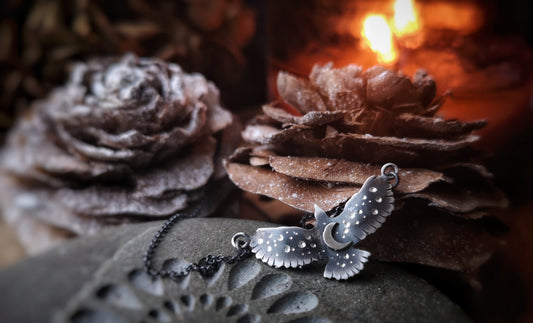 Hawk Medicine Necklace - Choker