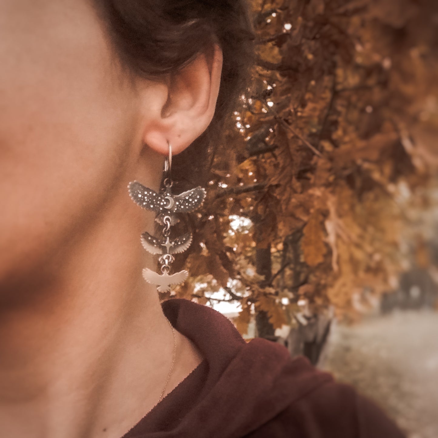 The Ombre Hawk Mobile Earrings