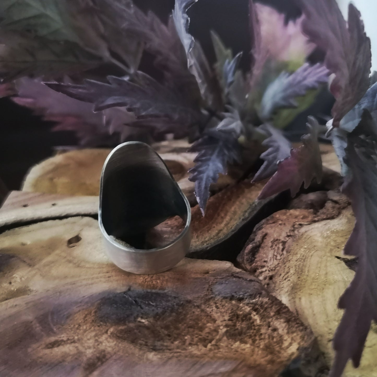 The Barn Owl Totem Ring