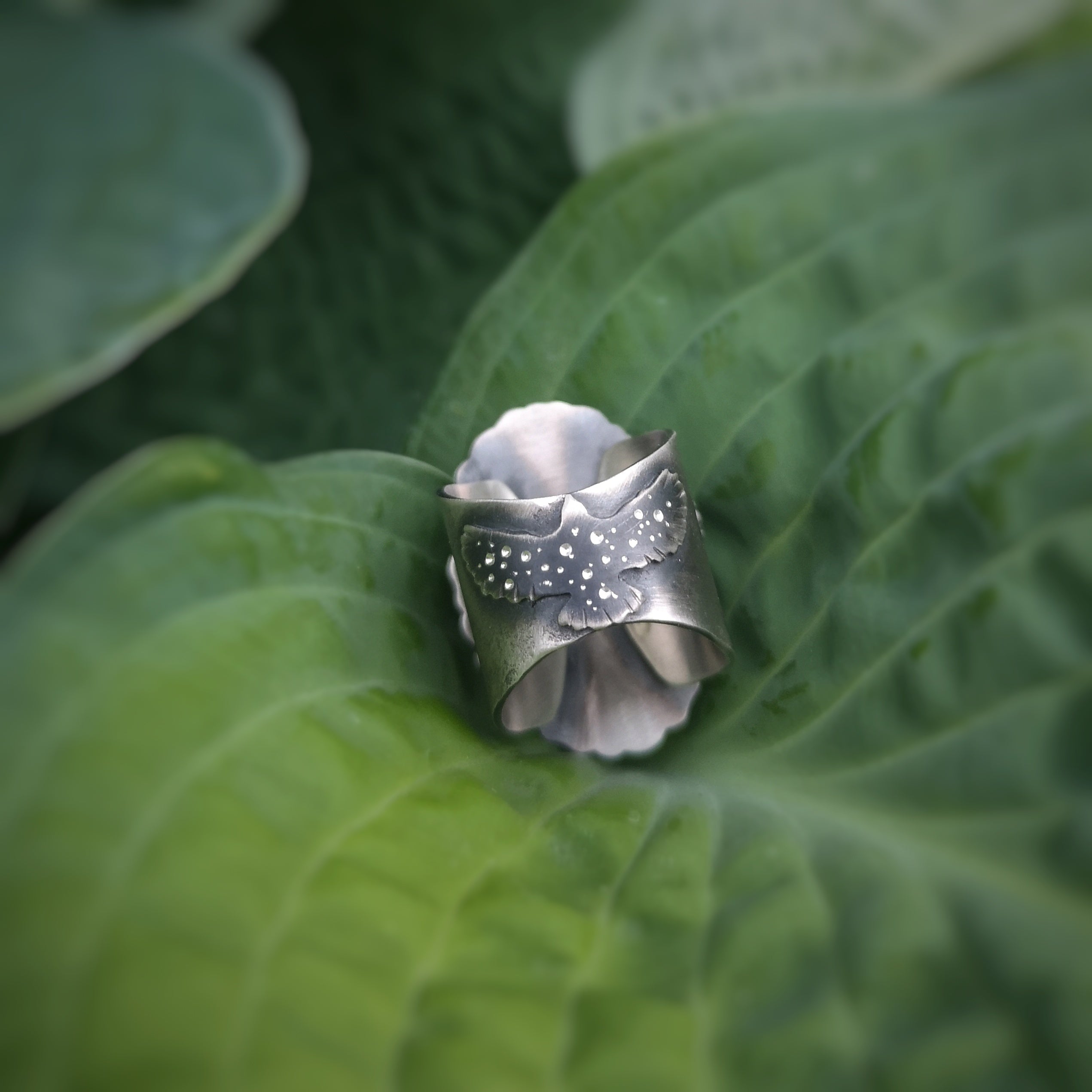 The Blue Labradorite Hawk Ring