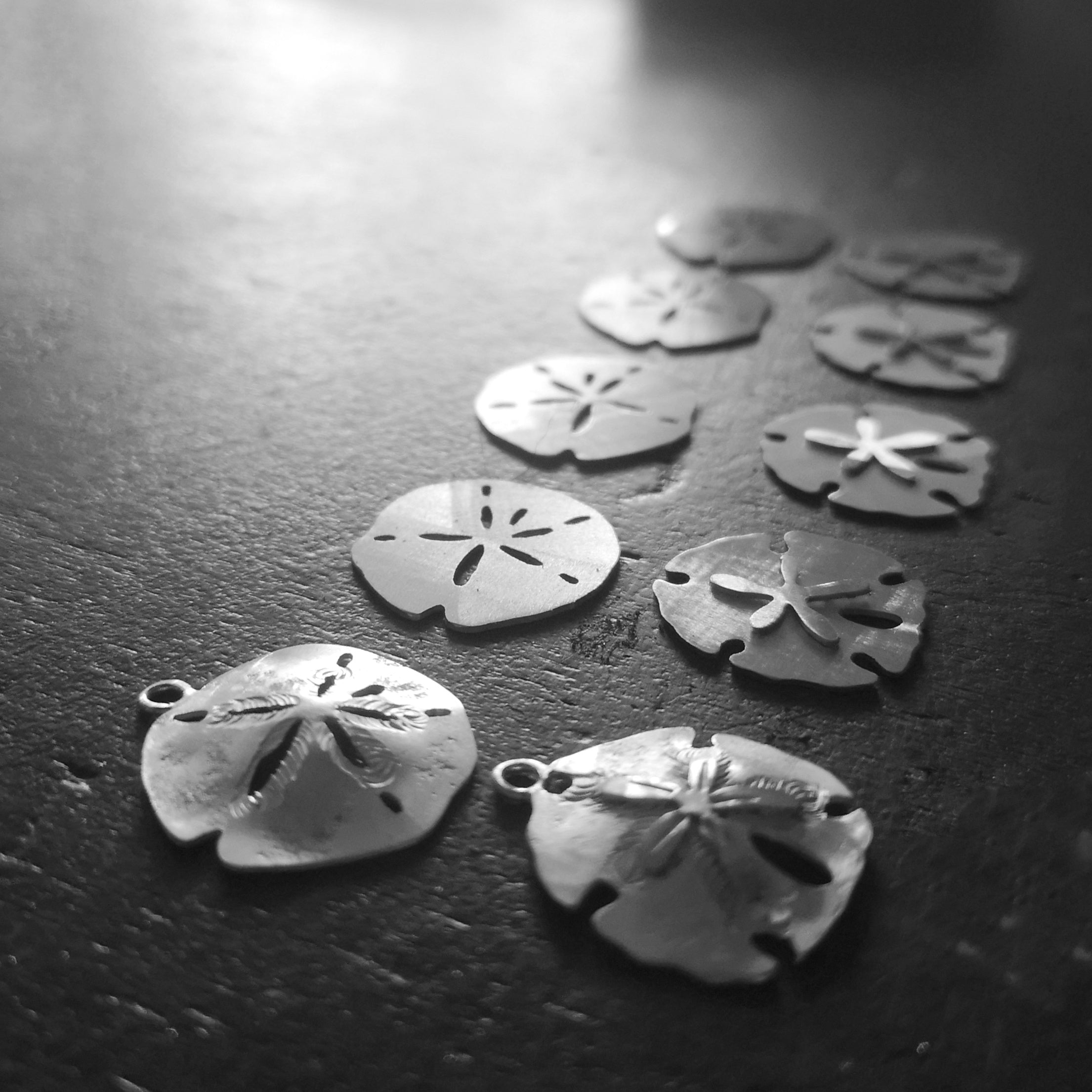 The Sand Dollar & Coral Necklace