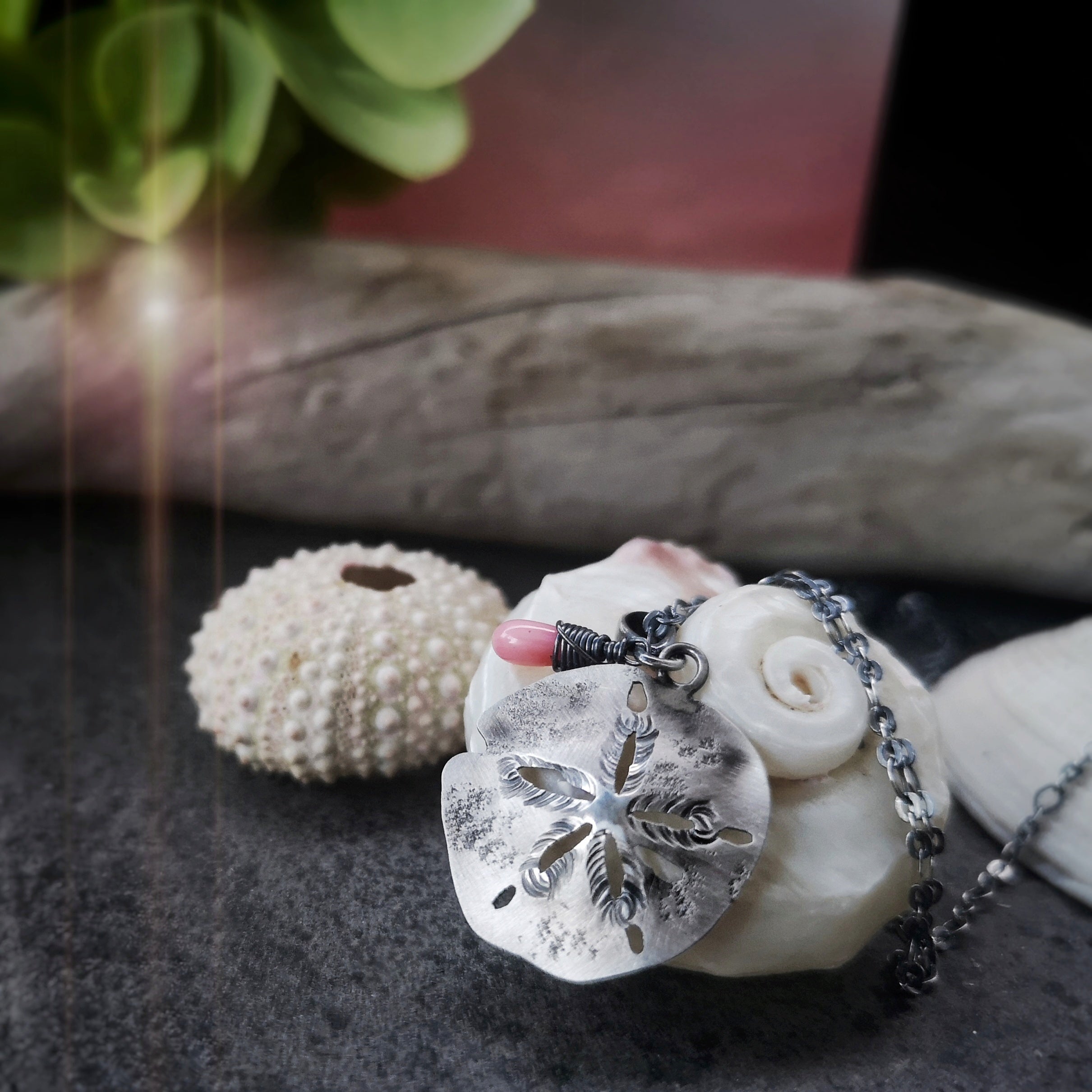 The Sand Dollar & Coral Necklace