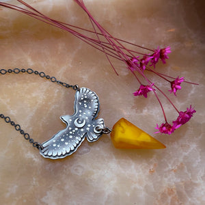 Medium Hawk & Amber Medicine Necklace No 3