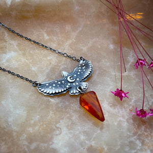 Medium Hawk & Amber Medicine Necklace No 1