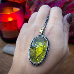 The Winter Barn Owl & Amber Neckace