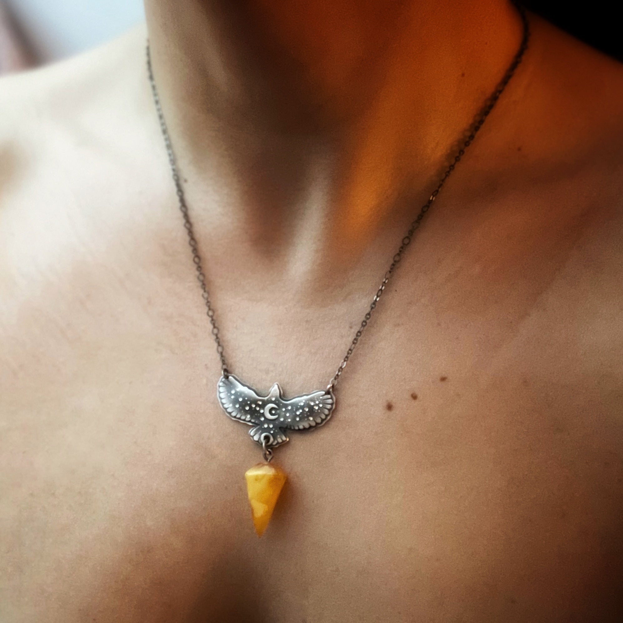 Medium Hawk & Amber Medicine Necklace No 3