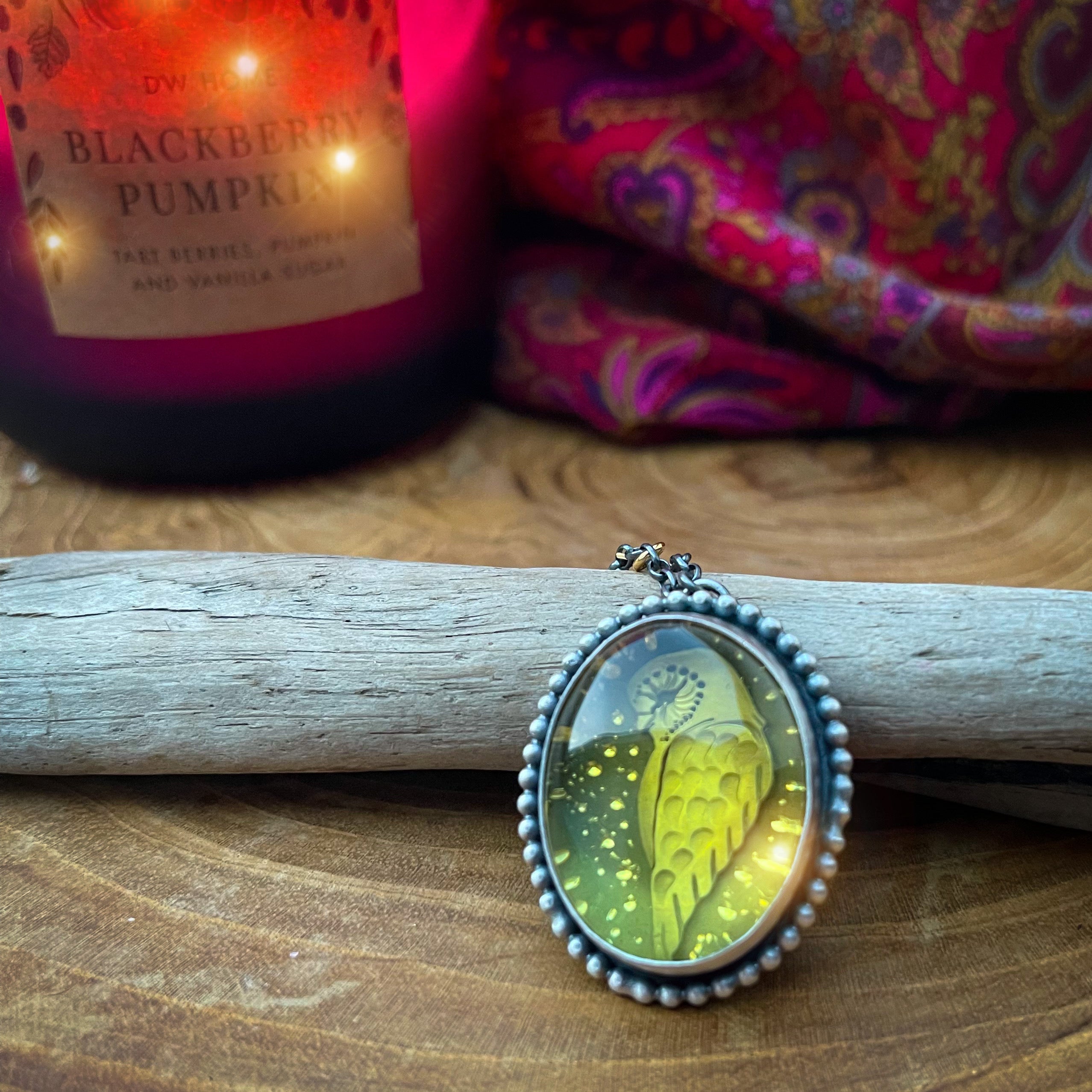 The Winter Barn Owl & Amber Neckace