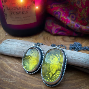 The Winter Barn Owl & Amber Neckace