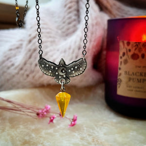 Small Hawk & Amber Medicine Necklace No 4