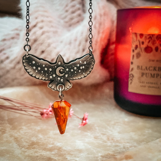 Medium Hawk & Amber Medicine Necklace No 1